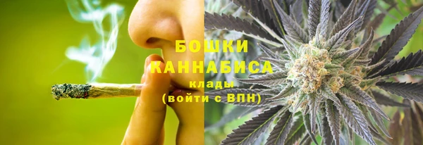 индика Абдулино