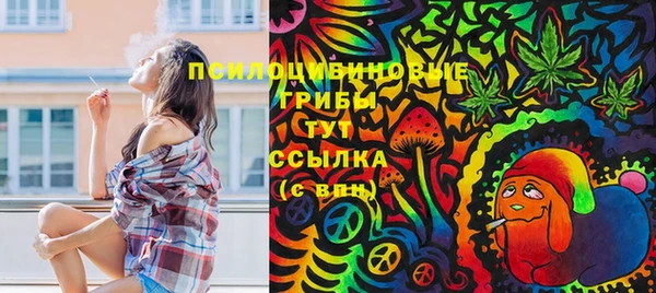 прущий лед Абаза