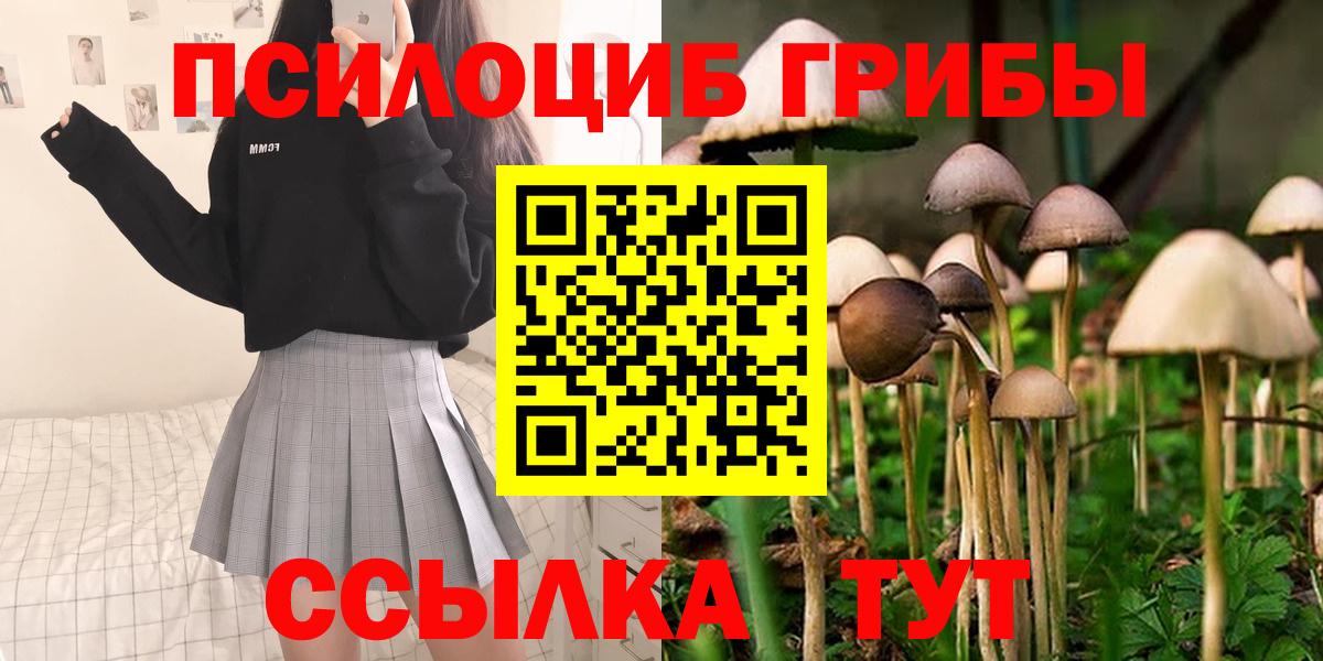 Галлюциногенные грибы Psilocybe Уварово